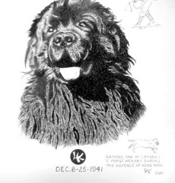 gander.jpg