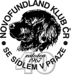nf.png